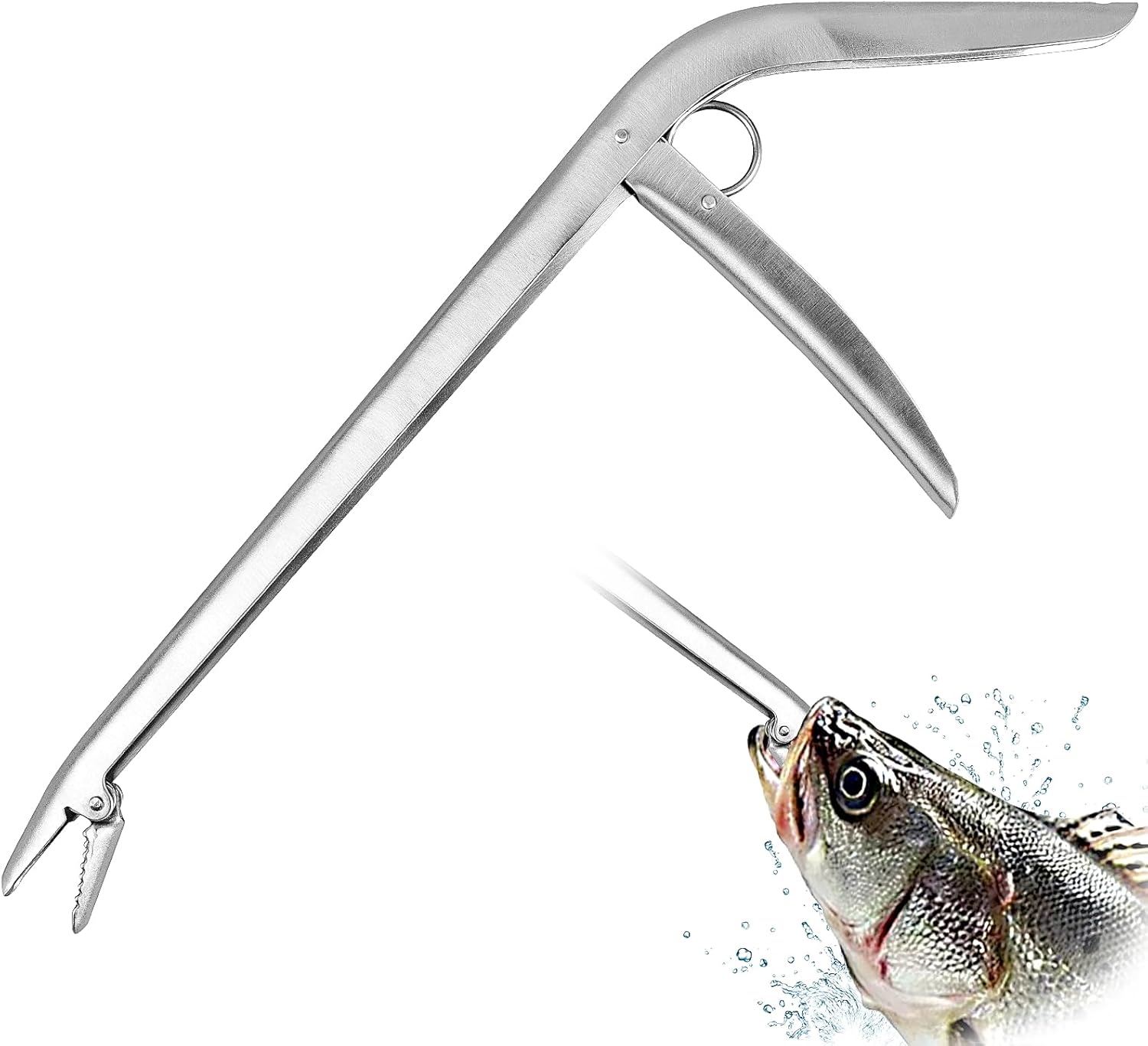 Fish Hook Remover, Premium Stainless Steel Fish Hook Remover Tool - Essential Fishing Pliers, with Strong Jaw Grip and Serrated Teeth, Suitable for All Fishing Environments, 11-1/2 Inches